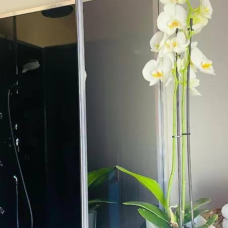 Paradis & - Bed and Breakfast Souvigné