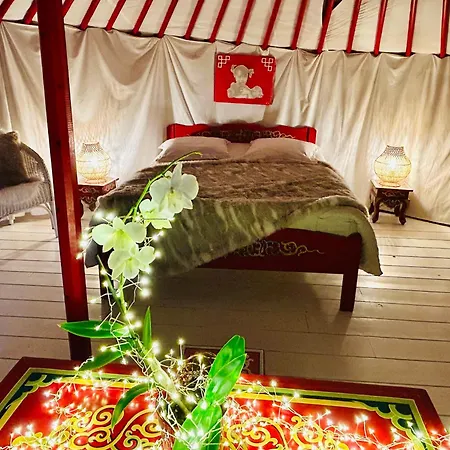 Bed and Breakfast Paradis & -