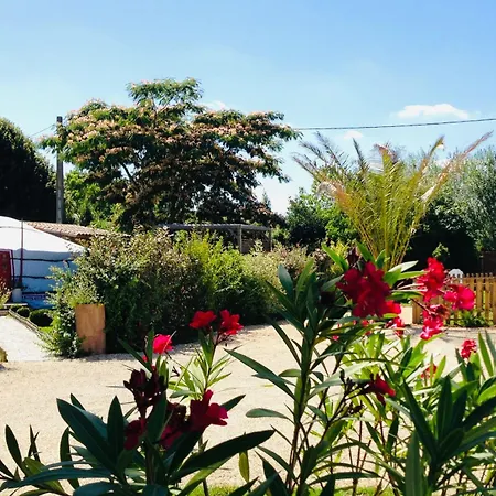 Bed and Breakfast Paradis & -