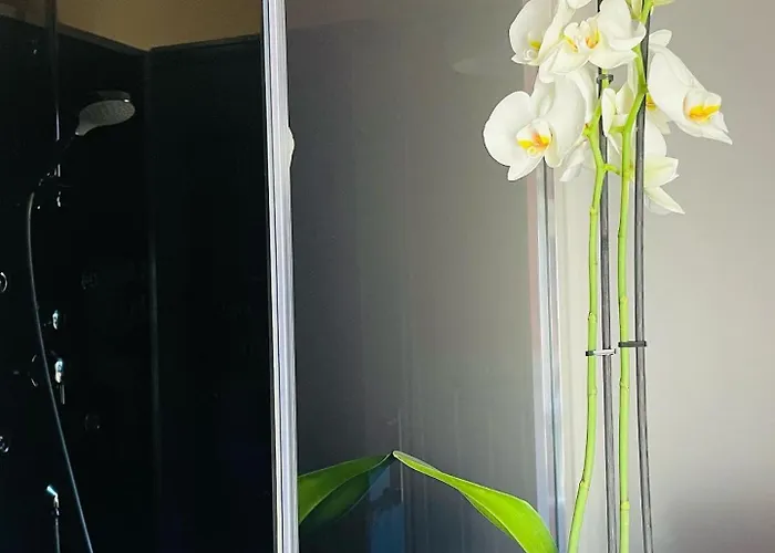 Paradis & - Couette-café Souvigné