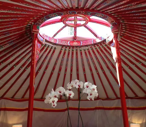 Paradis & - Souvigné